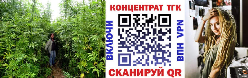 ТГК THC oil  Купить где  Макушино 