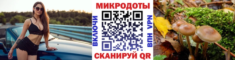 Купить закладки  Макушино  Галлюциногенные грибы прущие грибы 